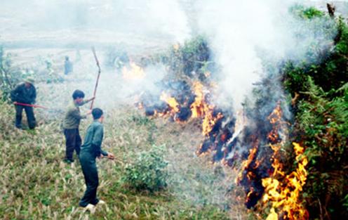 Thực hiện c&aacute;c biện ph&aacute;p cấp b&aacute;ch để ph&ograve;ng ch&aacute;y, chữa ch&aacute;y rừng