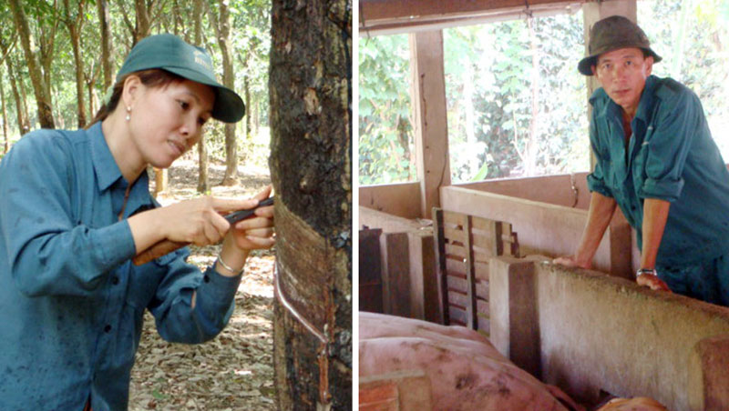 Hai điển hình công nhân làm kinh tế giỏi ở Nông trường Bình Minh