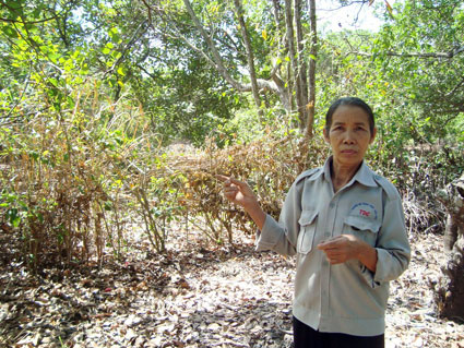 Báo Bình Phước trả lời phản hồi của Tòa án nhân dân thị xã Đồng Xoài