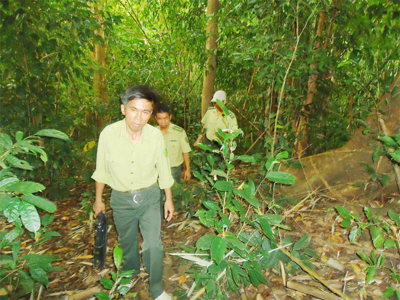 Phá rừng trái phép vùng giáp ranh Bình Phước - Đắk Nông còn phức tạp