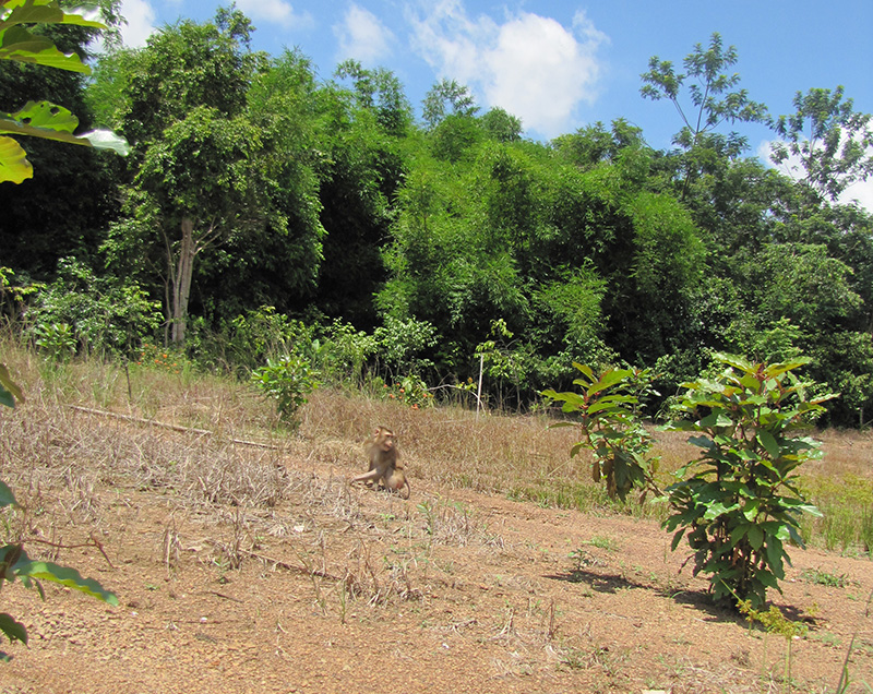 Những trường hợp bị thu hồi đất vẫn chưa r&otilde;