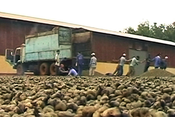 Doanh nghiệp nợ thuế hơn 649 tỷ đồng