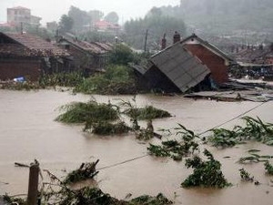 Lũ lụt ở Viễn Đông phá hủy gần một nửa mùa màng