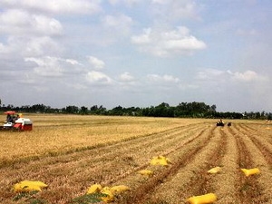 VN trong tốp đầu đạt mục tiêu xóa đói giảm nghèo