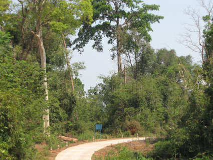 Hỗ trợ ph&aacute;t triển rừng đặc dụng