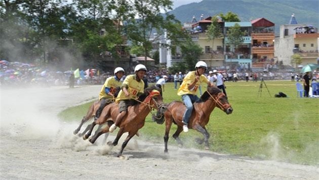 Kết thúc giải đua ngựa truyền thống Bắc Hà 2013