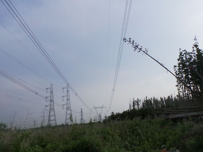 Cúp điện đột ngột toàn miền Nam do sự cố trên đường dây 500 KV​