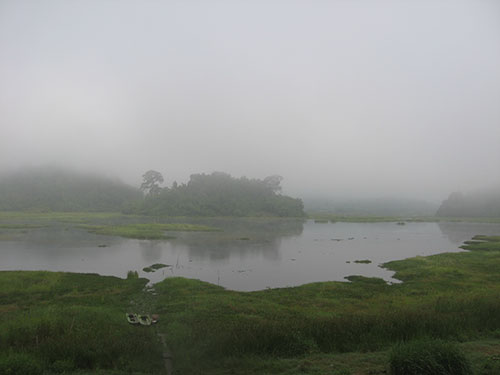 Cát Tiên “rớt” Di sản thiên nhiên thế giới