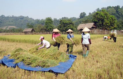 Ở b&ecirc;n s&ocirc;ng vẫn thiếu nước