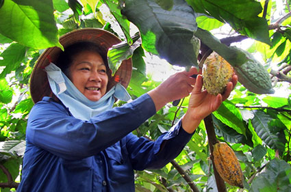 Chào mừng 10 năm thành lập chi nhánh Ngân hàng CSXH tỉnh Bình Phước