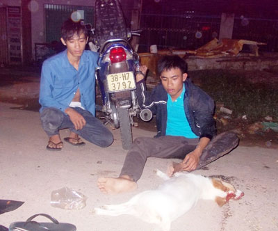 Bắt được hai đối tượng trộm ch&oacute; ở tỉnh B&igrave;nh Dương