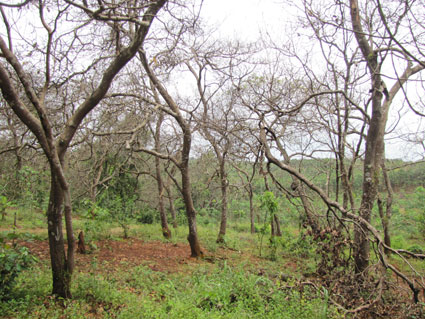 Những điểm mới về thu hồi đất trong dự thảo Luật Đất đai sửa đổi