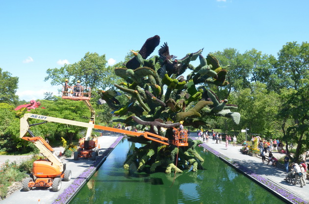 Hơn 3 triệu cây hoa-lá trong cuộc thi làm vườn 2013