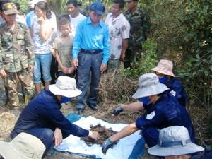 Chuyện kể hành trình 13 năm quy tập hài cốt liệt sỹ