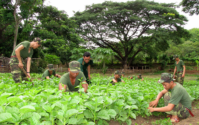 100% c&aacute;n bộ người d&acirc;n tộc thiểu số thuộc Bộ đội bi&ecirc;n ph&ograve;ng tỉnh được bố tr&iacute; đ&uacute;ng chuy&ecirc;n m&ocirc;n đ&agrave;o tạo