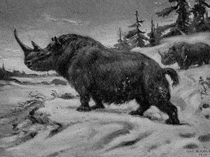Nga phát hiện hóa thạch tê giác hàng ngàn năm tuổi