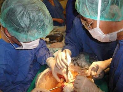 Mối hiểm họa từ dịch viêm gan vi-rút