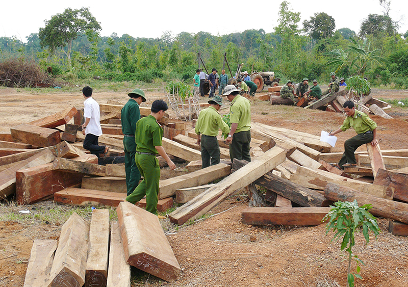 C&aacute;c Ban ph&aacute;p chế v&agrave; văn h&oacute;a - x&atilde; hội HĐND tỉnh: G&oacute;p &yacute; kiến c&aacute;c b&aacute;o c&aacute;o tr&igrave;nh kỳ họp thứ bảy