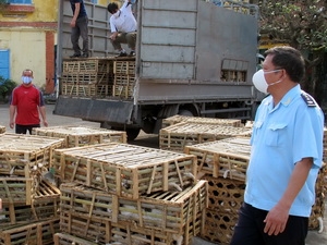 Quảng Ninh: Bắt giữ 3,7 tấn m&egrave;o sống nhập lậu từ Trung Quốc