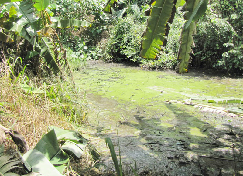 Khó khăn khi xử lý ô nhiễm môi trường ở khu dân cư