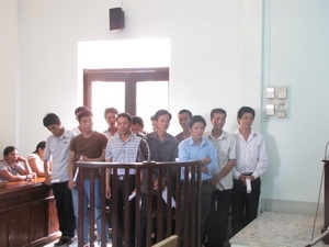 X&eacute;t xử 12 đối tượng vụ triệt hạ ba c&acirc;y sưa cổ thụ