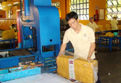 Tập đoàn công nghiệp cao su Việt Nam: Thoái 100% vốn đầu tư ngoài ngành
