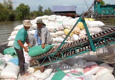 Cả nước có hơn 200 trọng điểm đê xung yếu cần gia cố, bảo vệ