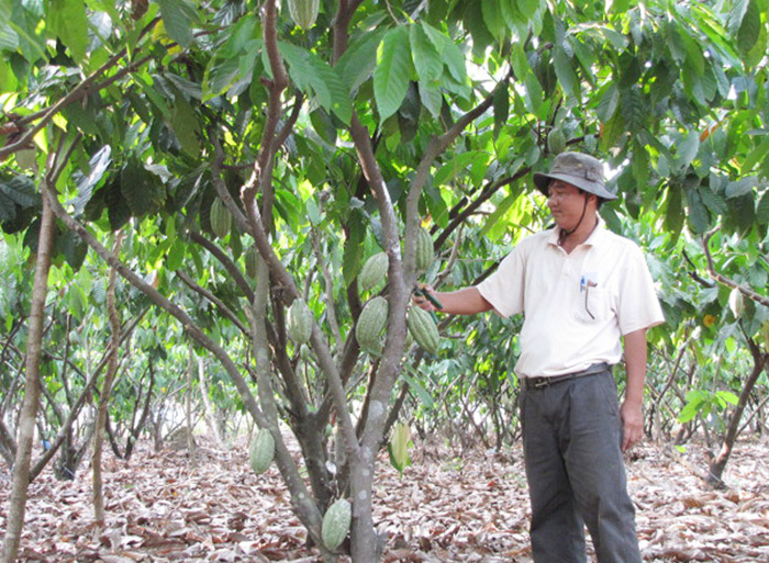 Làm giàu nhờ áp dụng khoa học - kỹ thuật