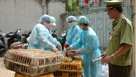 Triển khai công tác phòng, chống dịch cúm A(H7N9) trên người