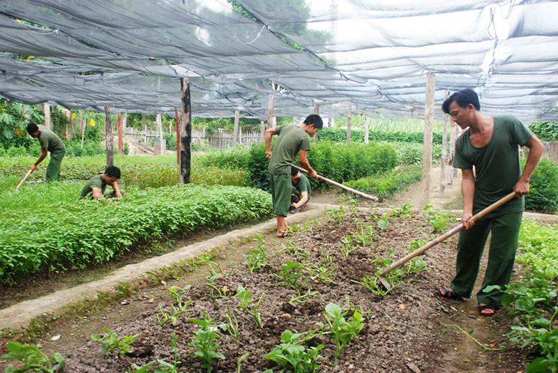 Đắk Qu&yacute;t - đồn điểm của lực lượng bi&ecirc;n ph&ograve;ng B&igrave;nh Phước