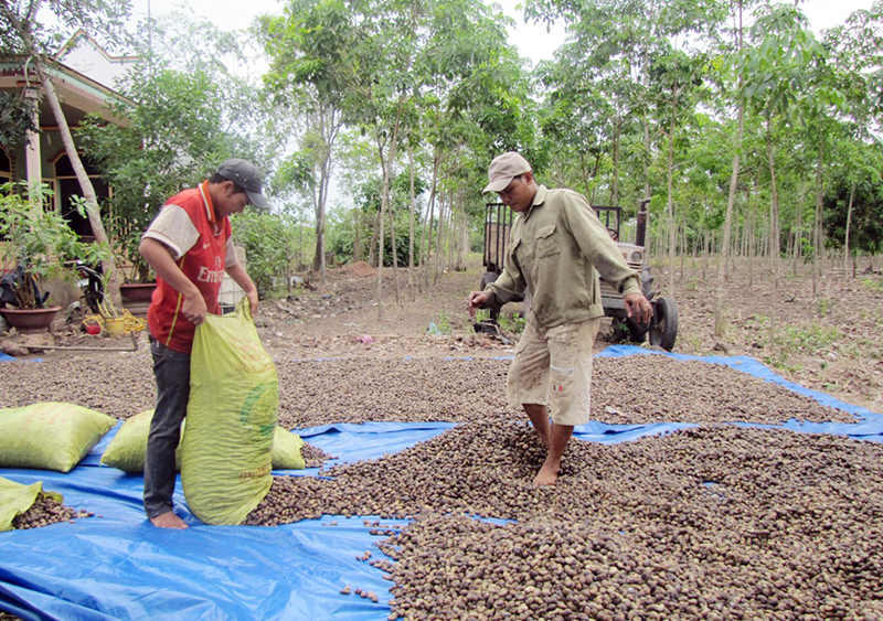 Giải pháp tháo gỡ khó khăn cho phát triển kinh tế - xã hội ở huyện Bù Gia Mập