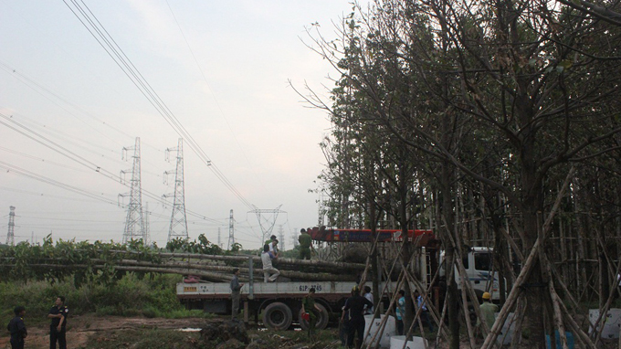Xem xét khởi tố vụ án làm mất điện cả miền Nam