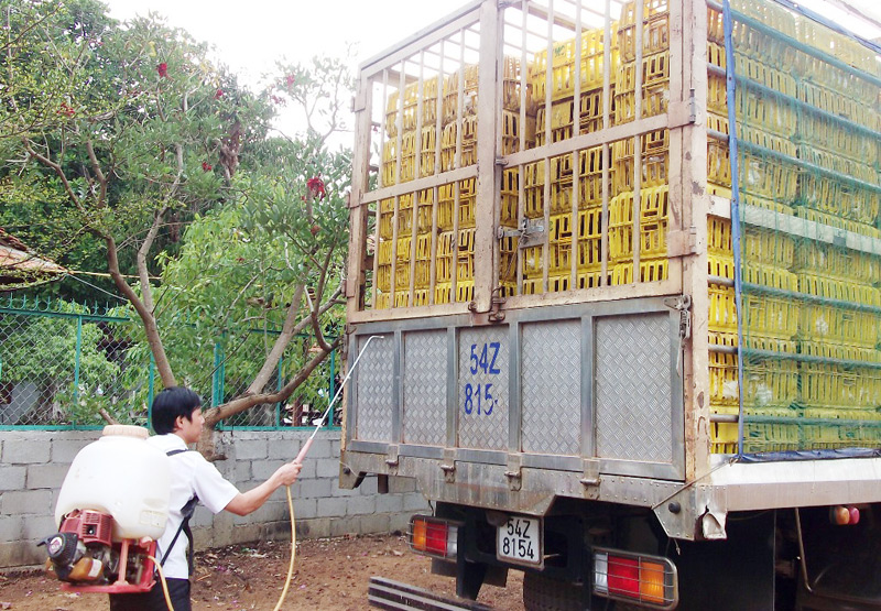 Kiểm soát chặt chẽ gia súc, gia cầm lưu thông qua địa bàn tỉnh