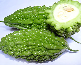 Trị ung thư tuyến tụy bằng khổ qua