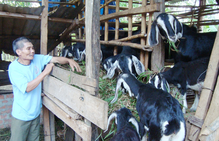 X&atilde; T&acirc;n Th&agrave;nh l&agrave;m theo B&aacute;c