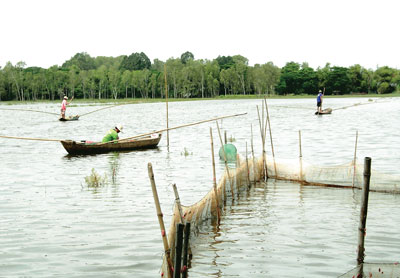 Vùng đầu nguồn ĐBSCL: Chạy đua… với lũ