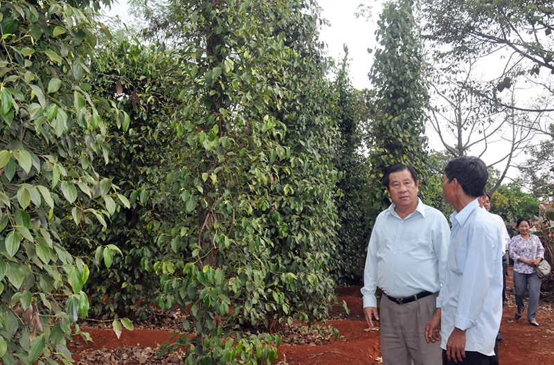 Tỷ lệ hộ nghèo ở huyện Bù Gia Mập giảm còn 9,02%