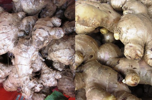 Bí quyết nhận diện nông sản Trung Quốc