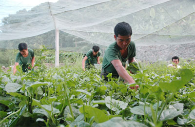 Nhận thức đ&uacute;ng để tự gi&aacute;c h&agrave;nh động