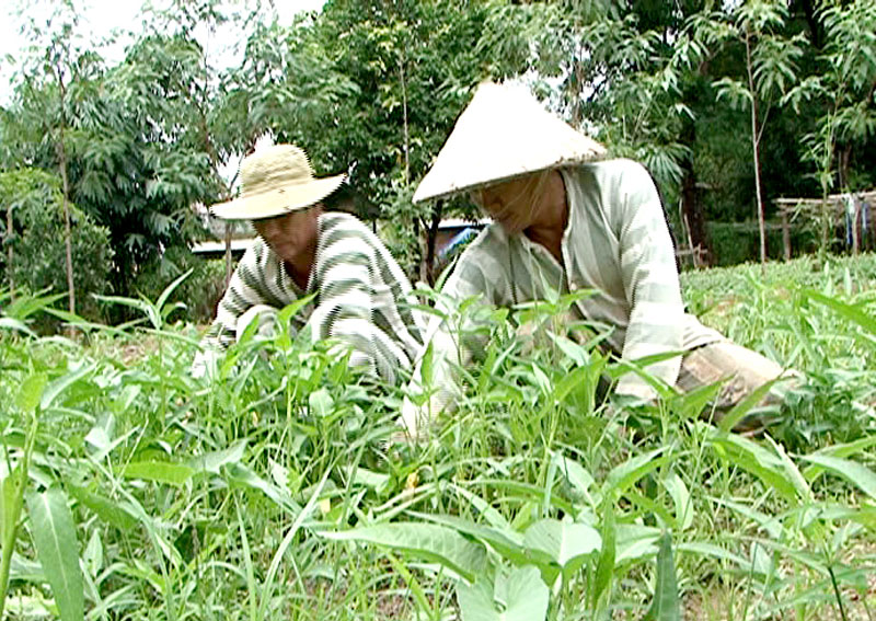 Trước ng&agrave;y đặc x&aacute;