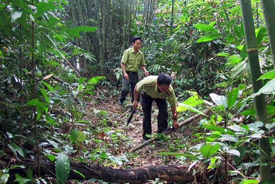 Ph&ograve;ng chống ch&aacute;y rừng - tr&aacute;ch nhiệm của to&agrave;n x&atilde; hội