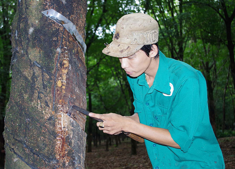 Người thanh niên chiến thắng ma túy