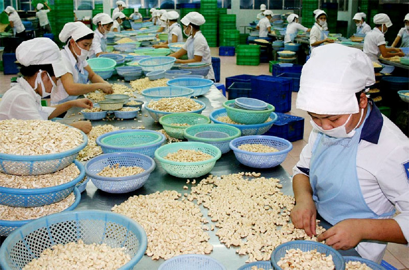 Năm 2014, Bình Phước phấn đấu đạt tốc độ tăng trưởng GRDP 11,5 - 12%