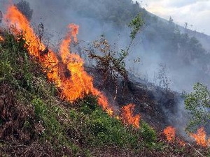 Cháy lớn kéo dài trên 30ha rừng tự nhiên ở Hà Nam