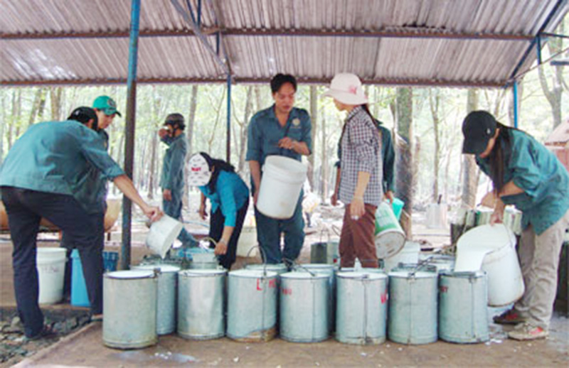 Phú Riềng - ngày ấy, bây giờ...