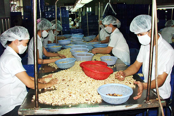 Quy định mới về thử việc và thực hiện hợp đồng lao động