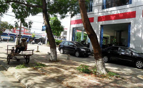 Chạy trốn hơn 1.000 km vẫn kh&ocirc;ng tho&aacute;t