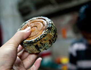 Cảnh giác khi mua bánh trung thu Trung Quốc