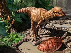 Phát hiện hóa thạch của khủng long nhỏ như loài chó