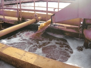 Xây 24 nhà máy xử lý nước lưu vực sông Nhuệ, Đáy